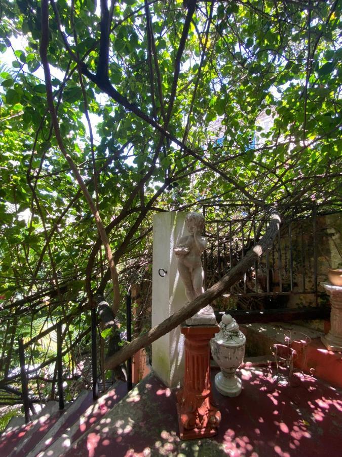 Cafe Hostel Kebab Salvador da Bahia Dış mekan fotoğraf